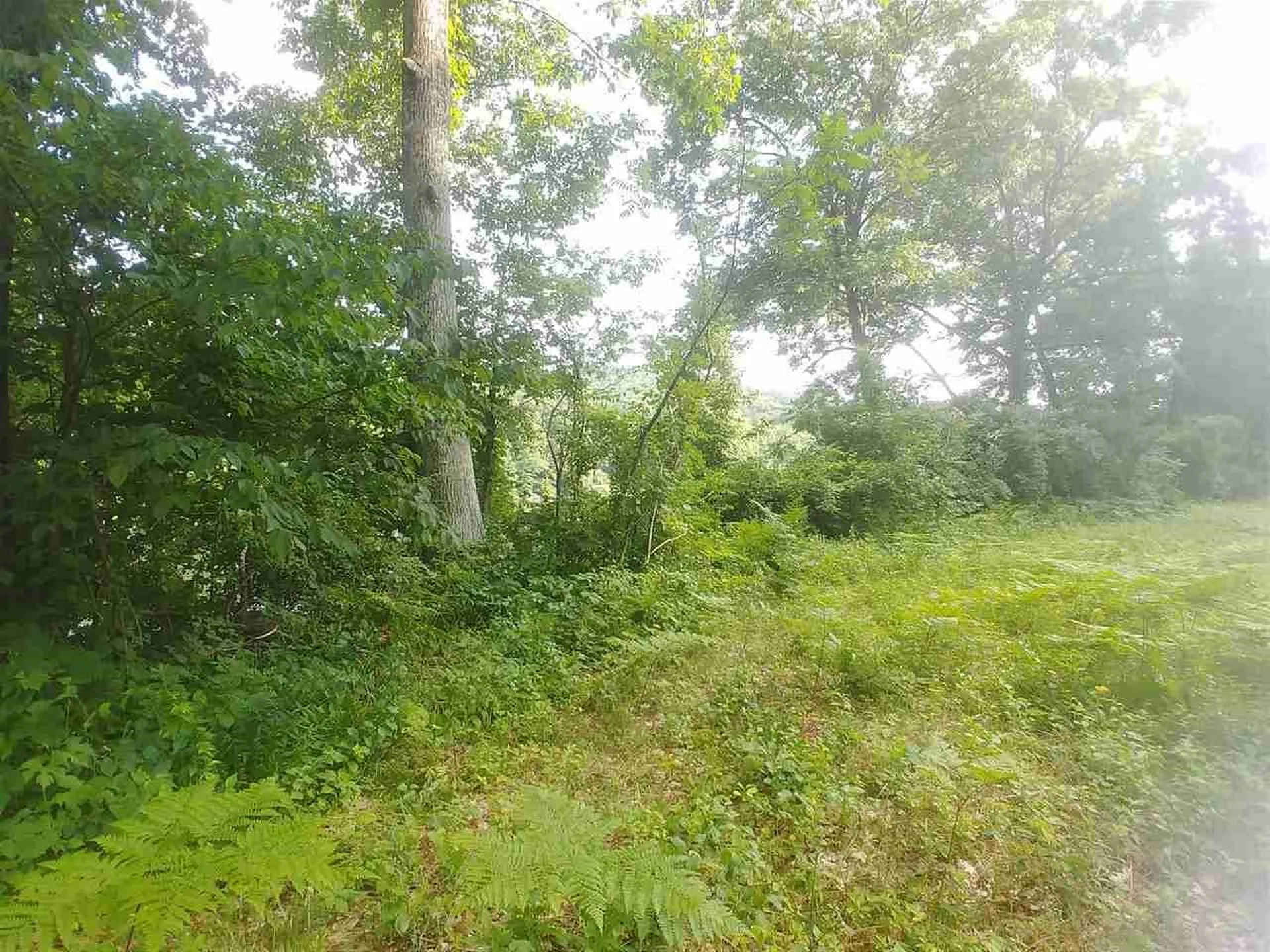 0 Ferry Road Brattleboro VT 05301