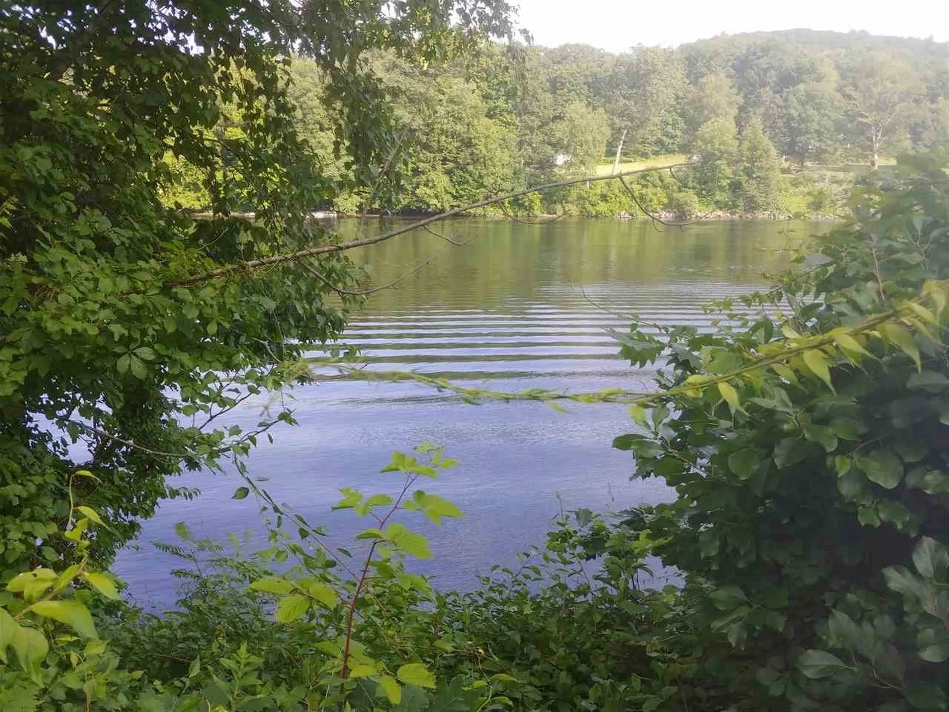 0 Ferry Road Brattleboro VT 05301