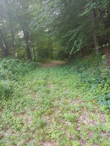 0 Ferry Road Brattleboro VT 05301