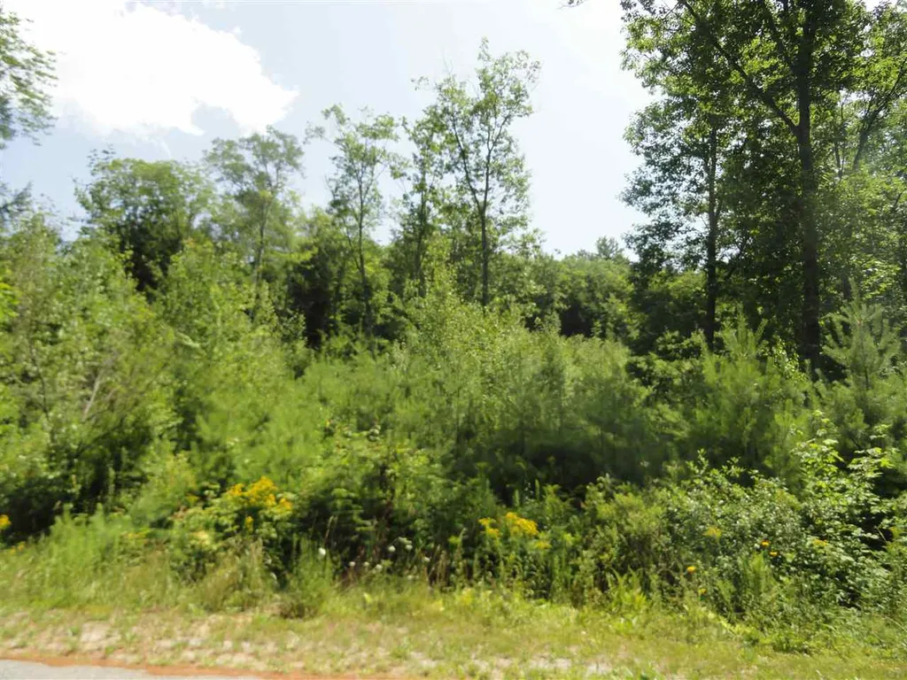 5 Lakeview Circle Croydon NH 03773