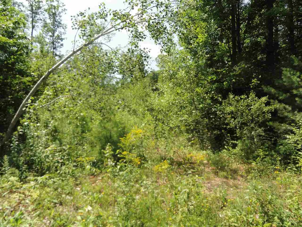 5 Lakeview Circle Croydon NH 03773