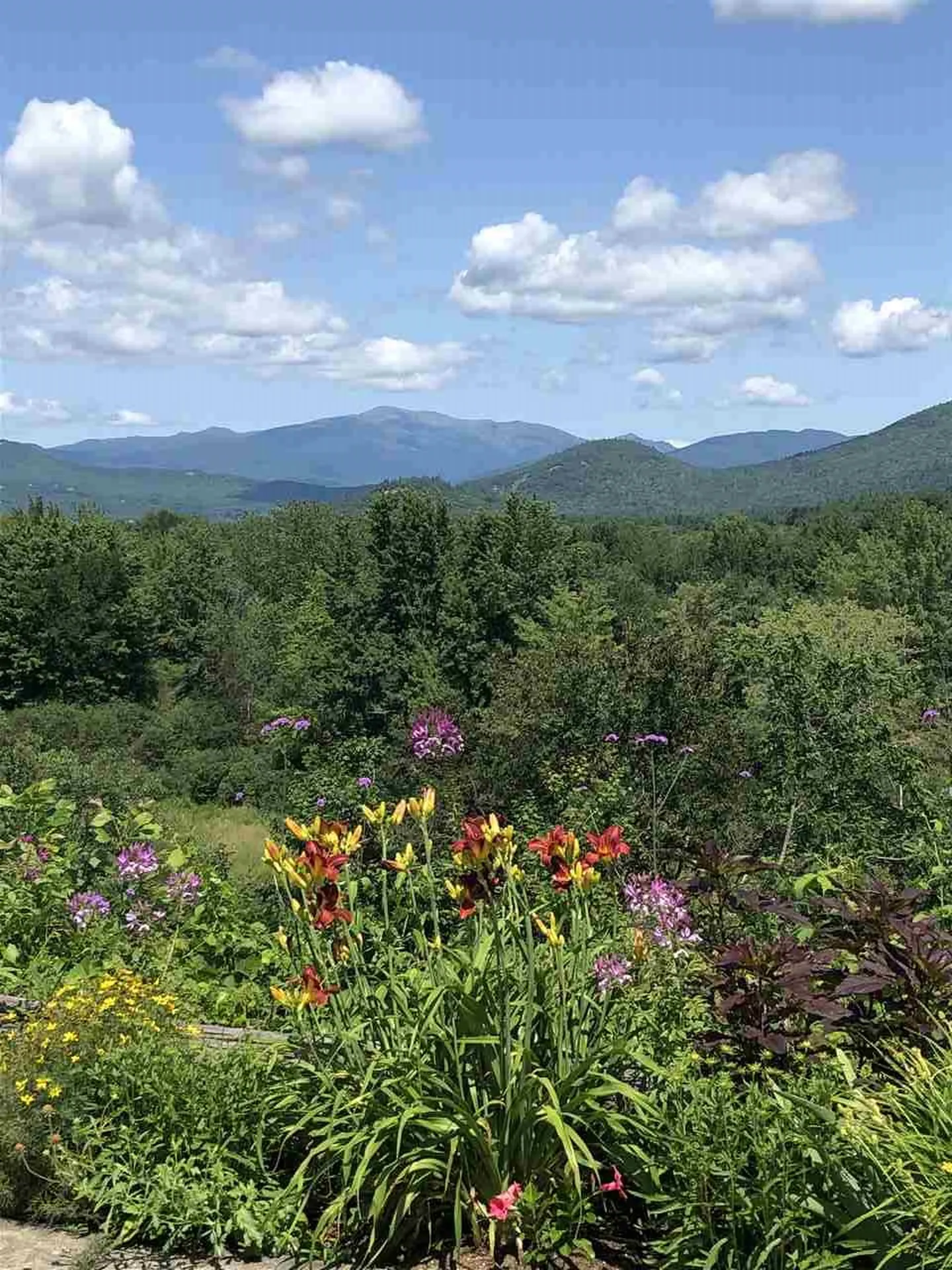 3582 White Mountain Highway Conway NH 03860