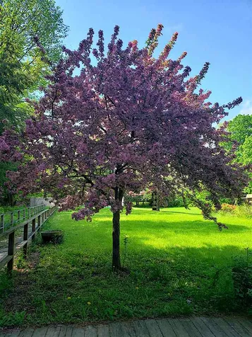 16 Westgate Road Plainfield NH 03781
