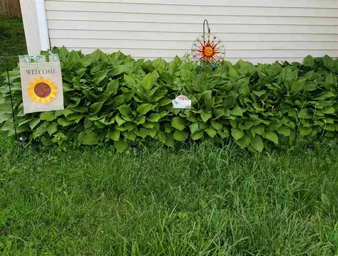 60 62 Union Street Somersworth NH 03878