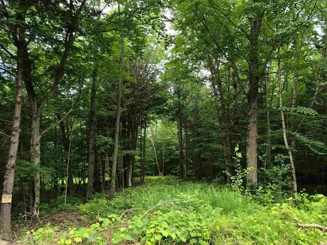 250 Lower Road Plainfield VT 05667