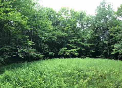 250 Lower Road Plainfield VT 05667