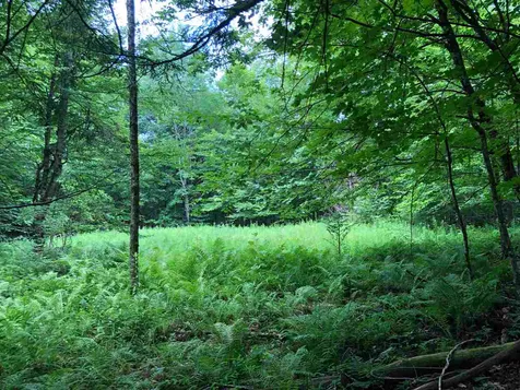 250 Lower Road Plainfield VT 05667