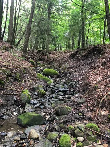 250 Lower Road Plainfield VT 05667
