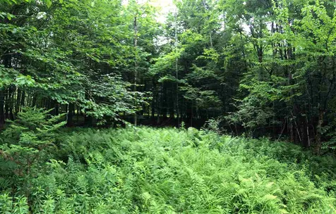 250 Lower Road Plainfield VT 05667