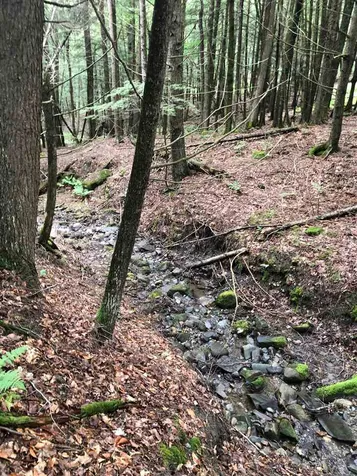 250 Lower Road Plainfield VT 05667
