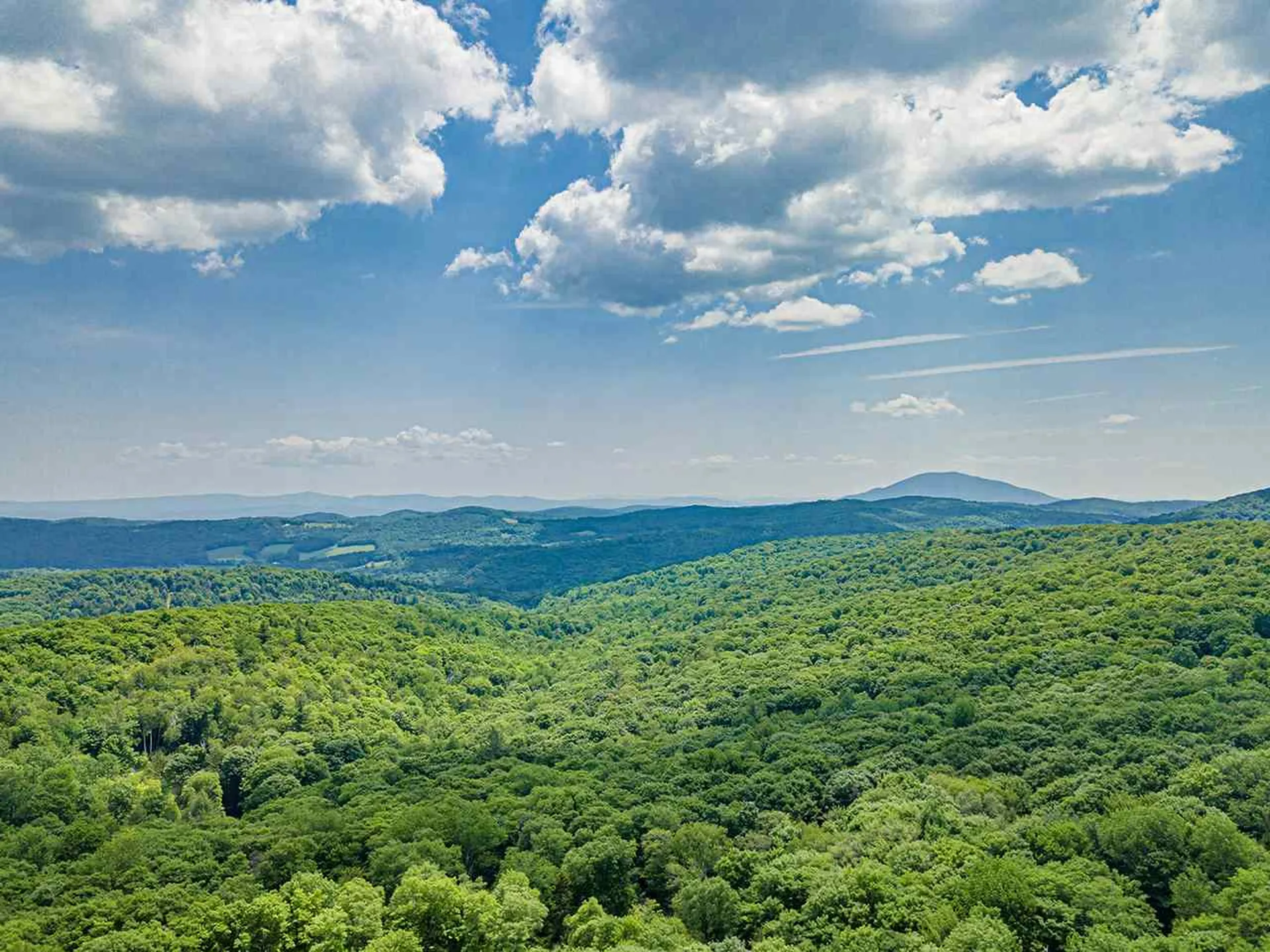 97 & 99 Darling Road Woodstock VT 05071