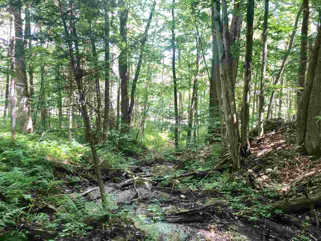 0 Route 4 Killington VT 05751