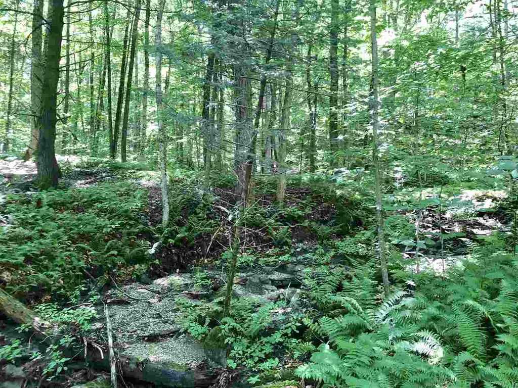 0 Route 4 Killington VT 05751