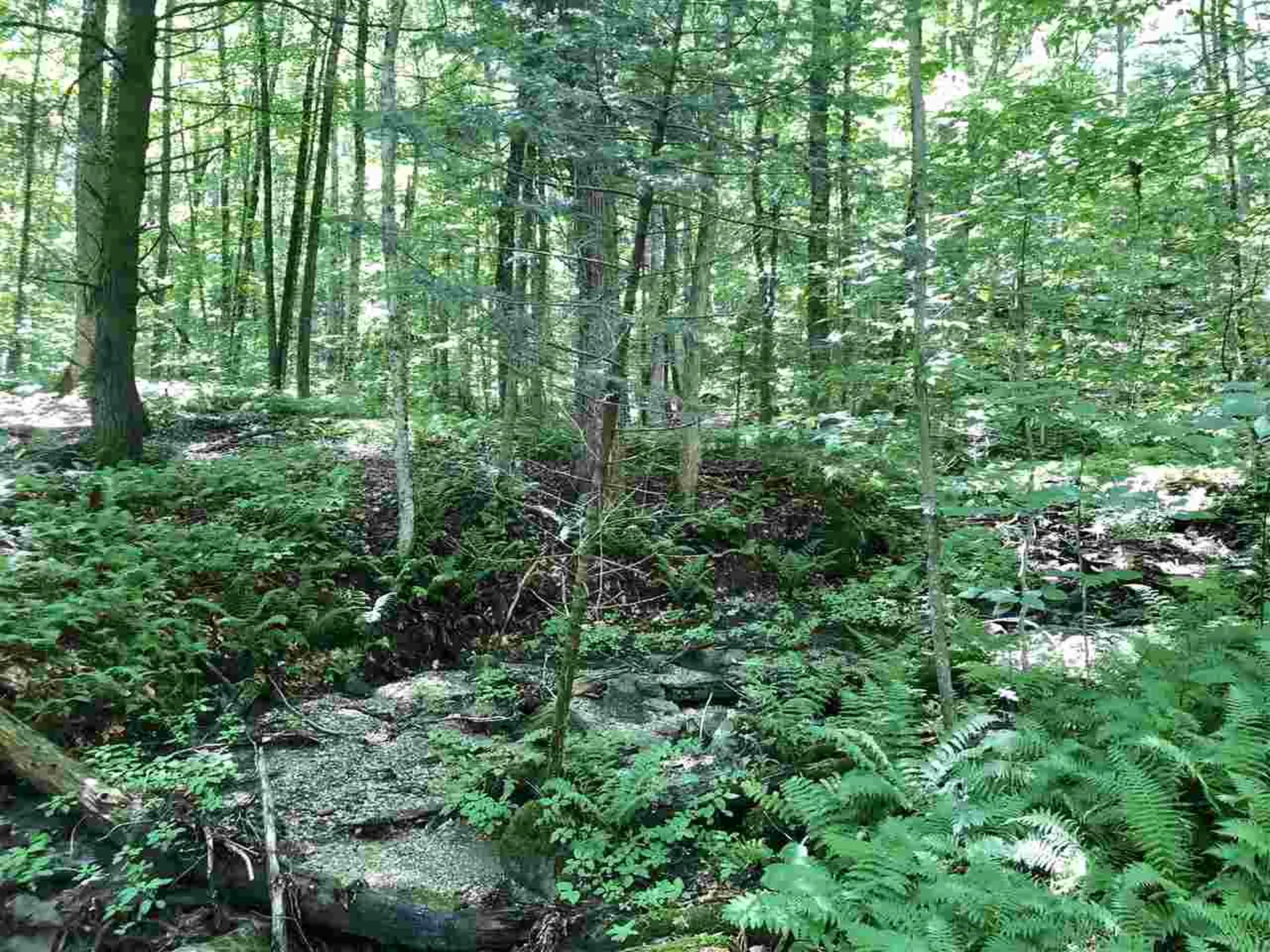 0 Route 4 Killington VT 05751