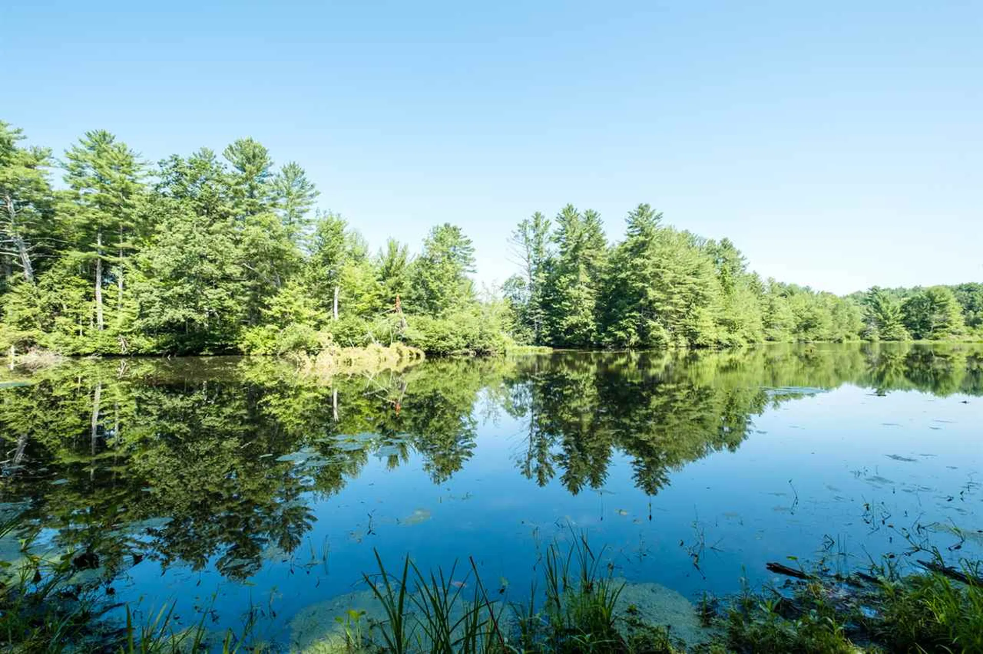 29 Sandpiper Drive Dover NH 03820