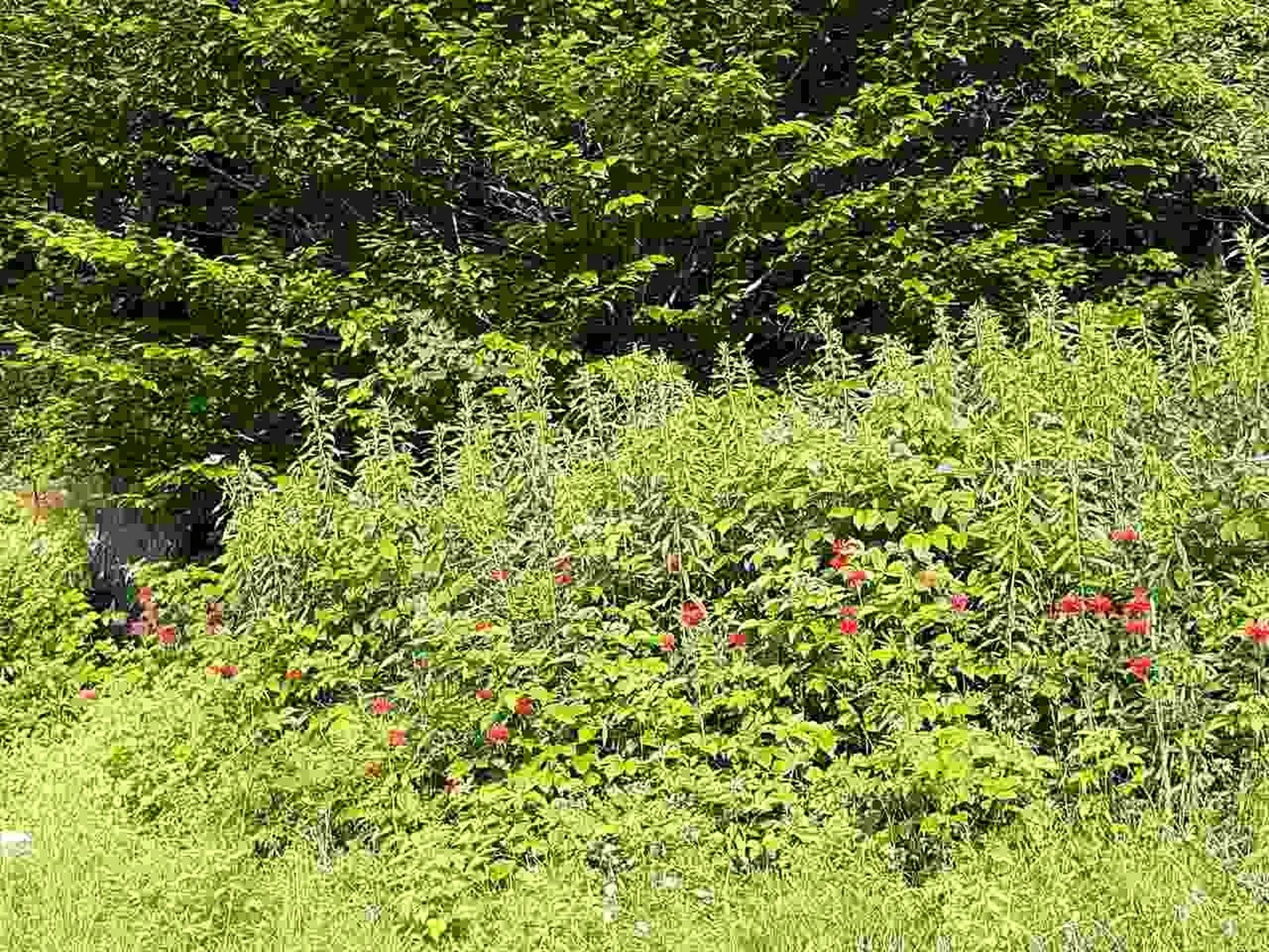 140 Mount Eustis Road Lisbon NH 03585