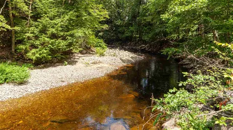 64 Crane Brook Road Langdon NH 03602