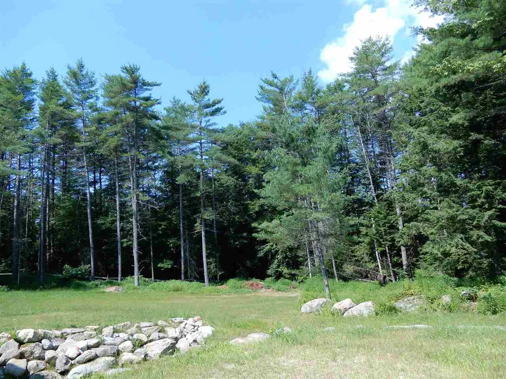 38 Russell Lane Danbury NH 03230