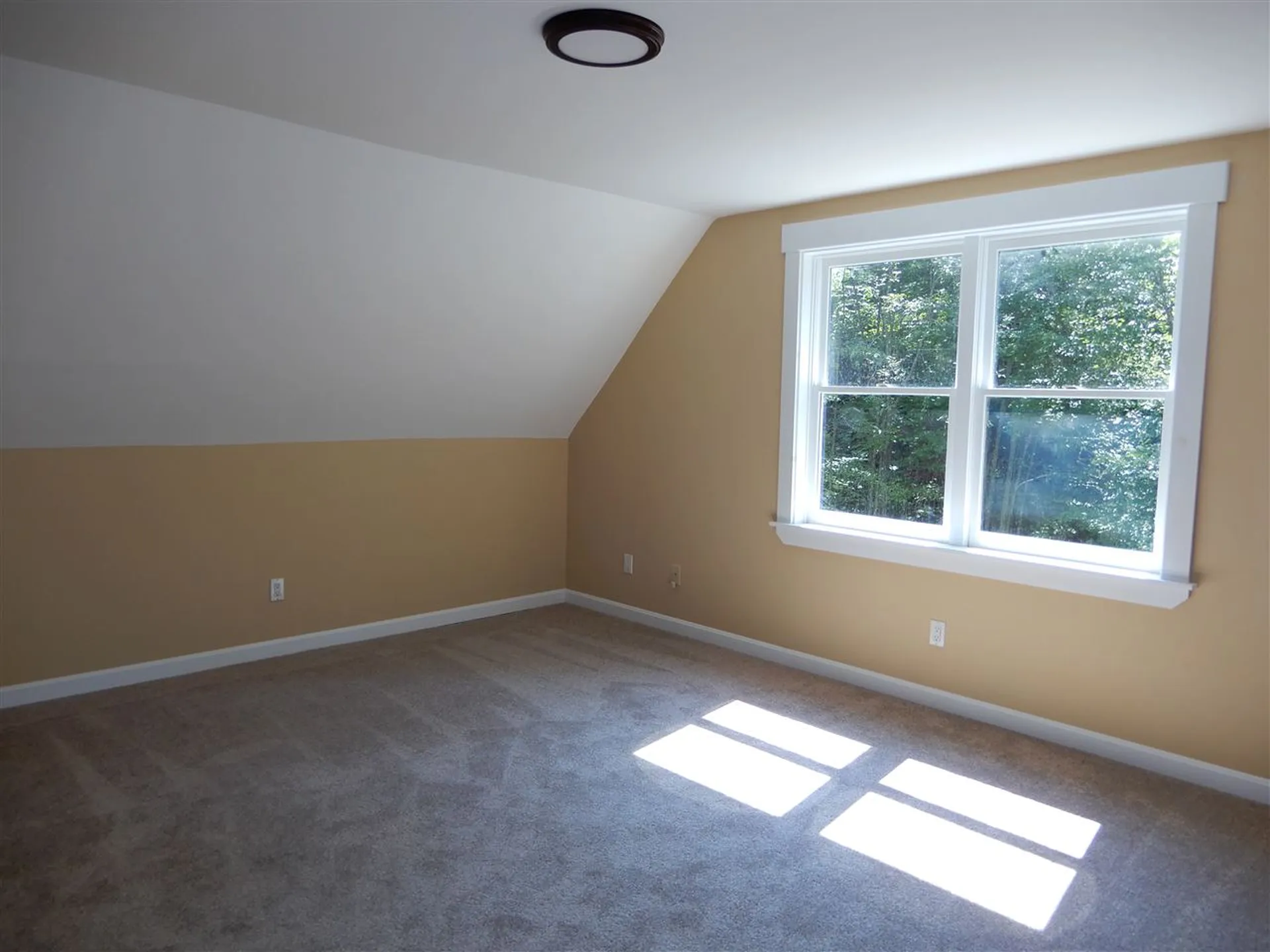 38 Russell Lane Danbury NH 03230