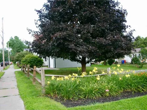 186 West Allen Street Winooski VT 05404