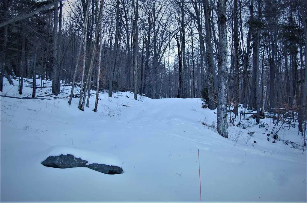64 Panorama Road Warren VT 05674