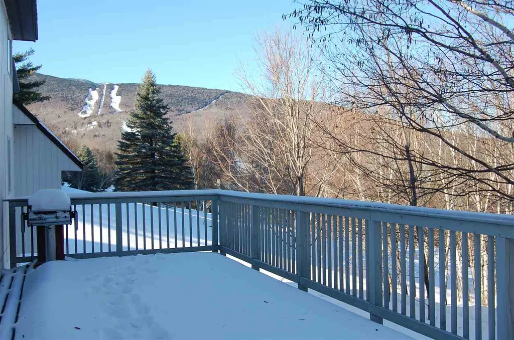 64 Panorama Road Warren VT 05674