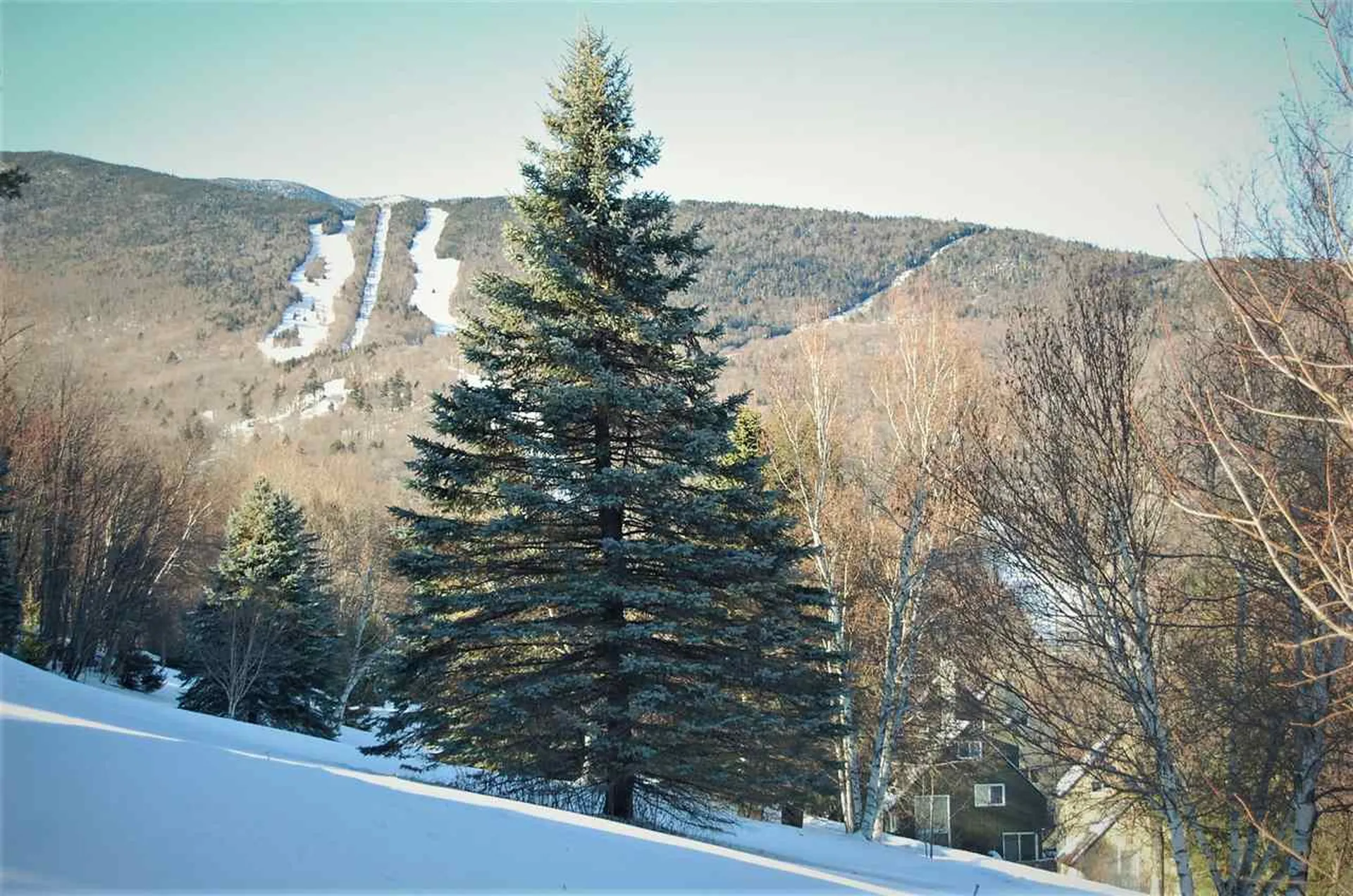 64 Panorama Road Warren VT 05674