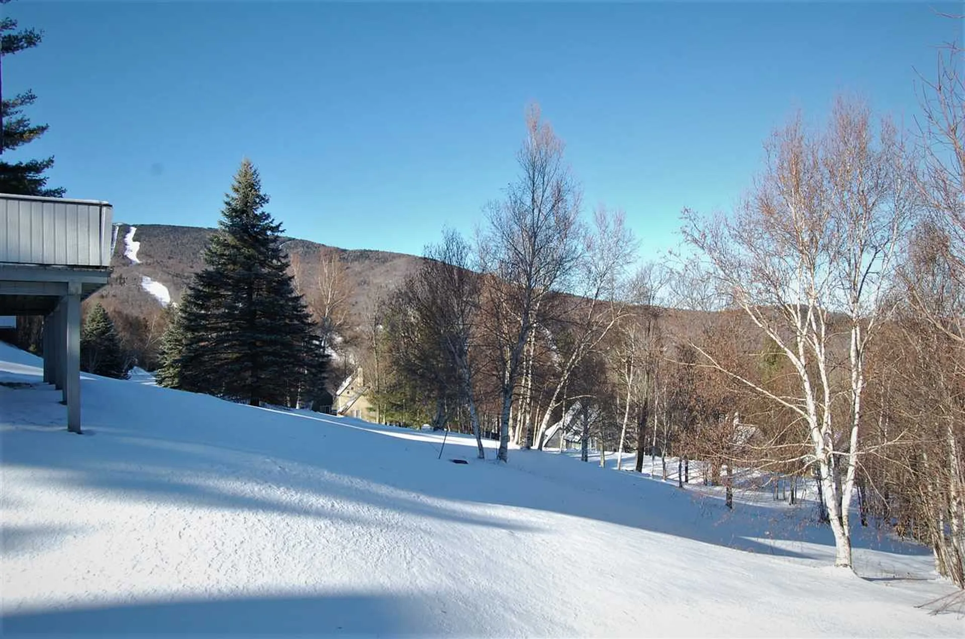 64 Panorama Road Warren VT 05674