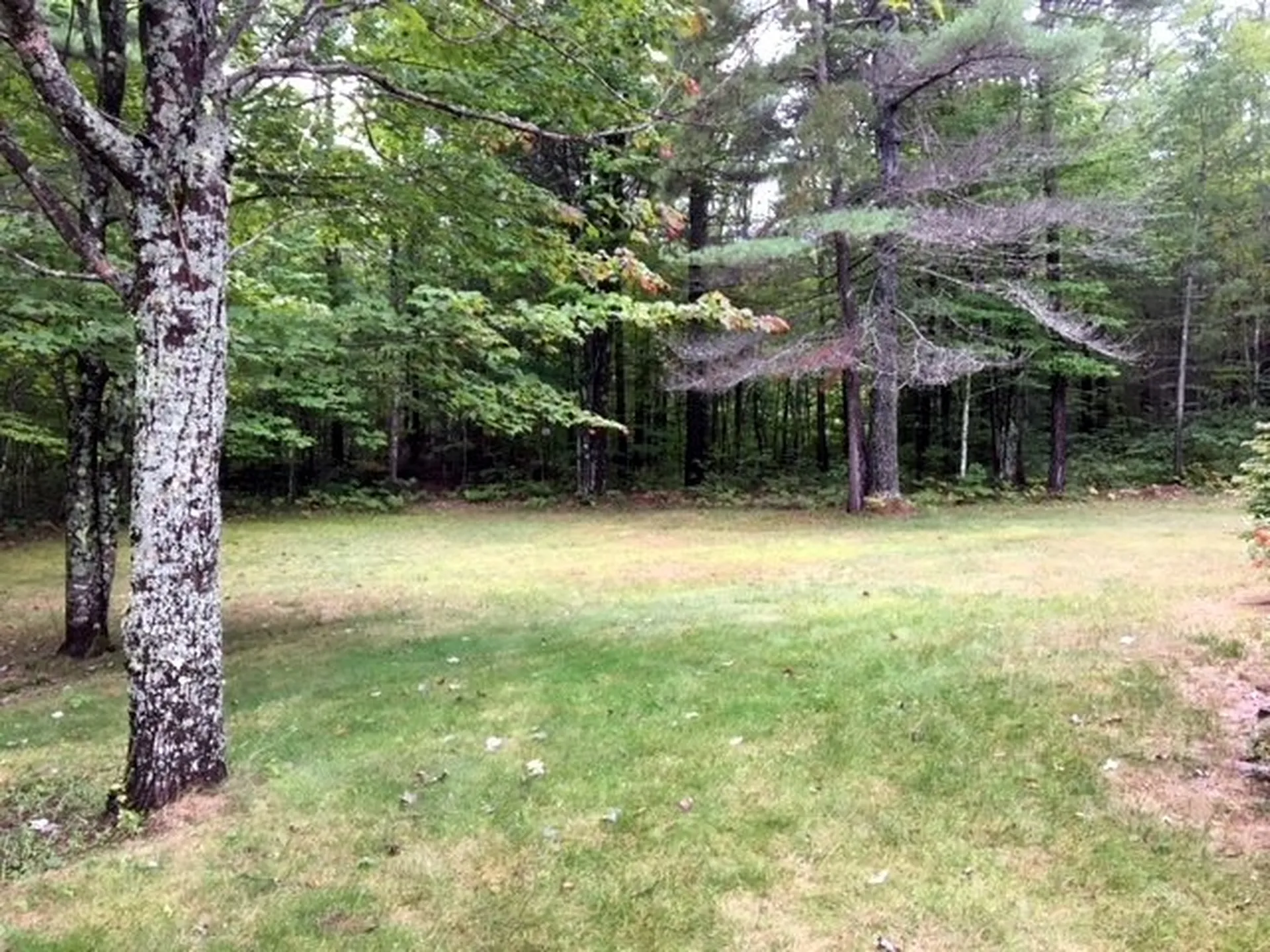 225 Pine River Path Effingham NH 03882