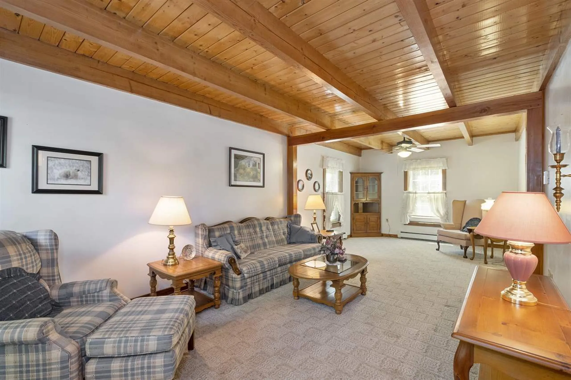 225 Pine River Path Effingham NH 03882