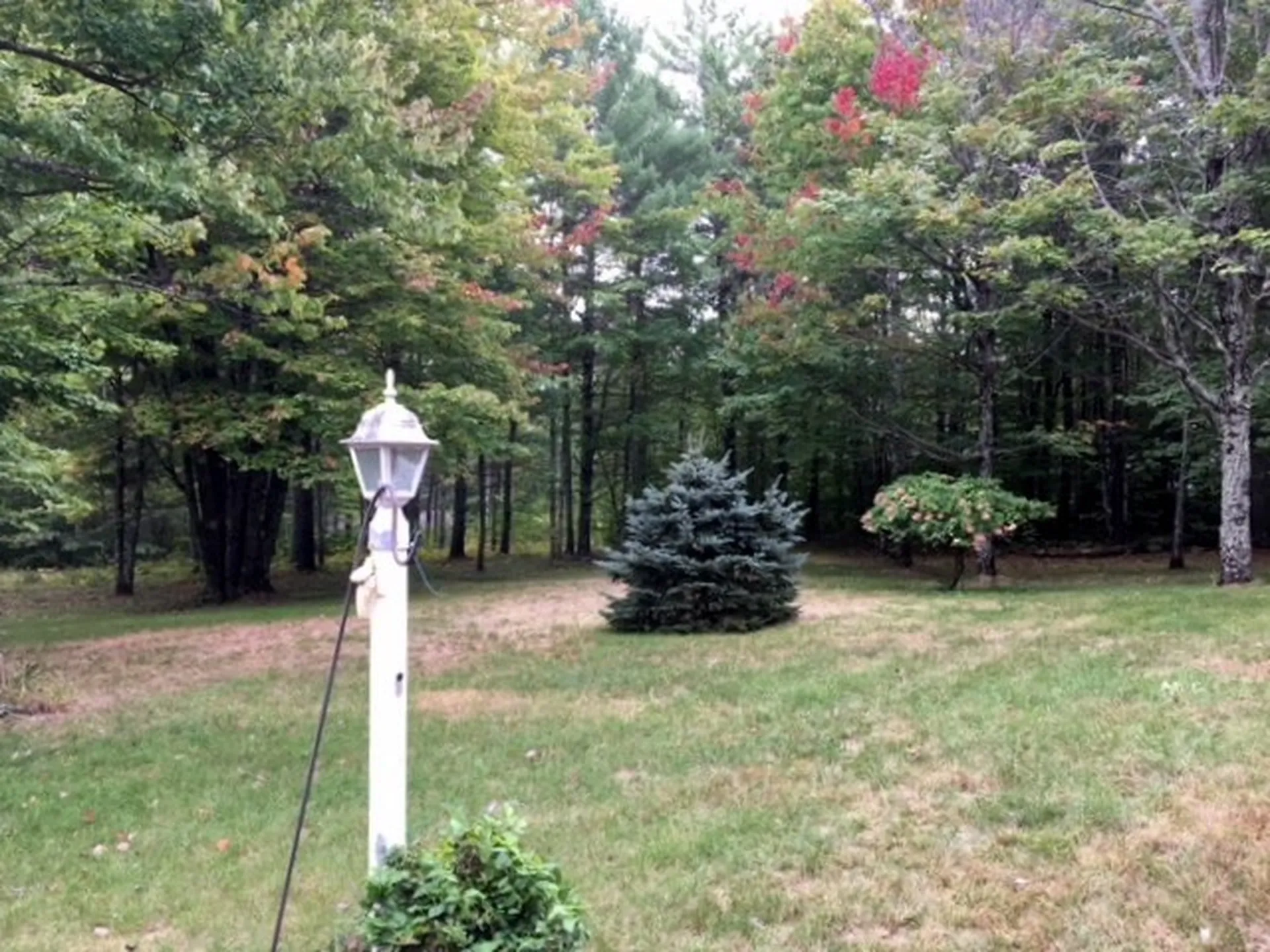 225 Pine River Path Effingham NH 03882