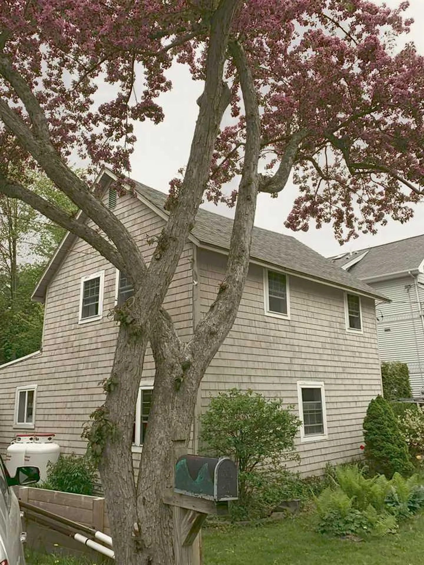 5 Pavilion Avenue South Burlington VT 05403