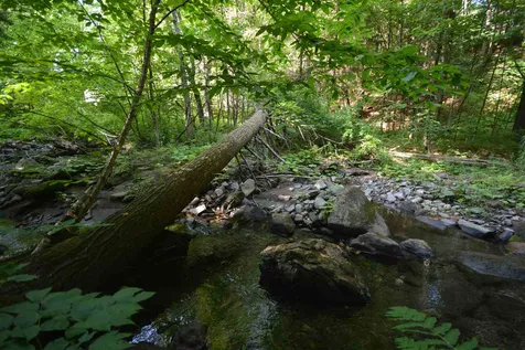 1334 Brownsville-hartland Road West Windsor VT 05089