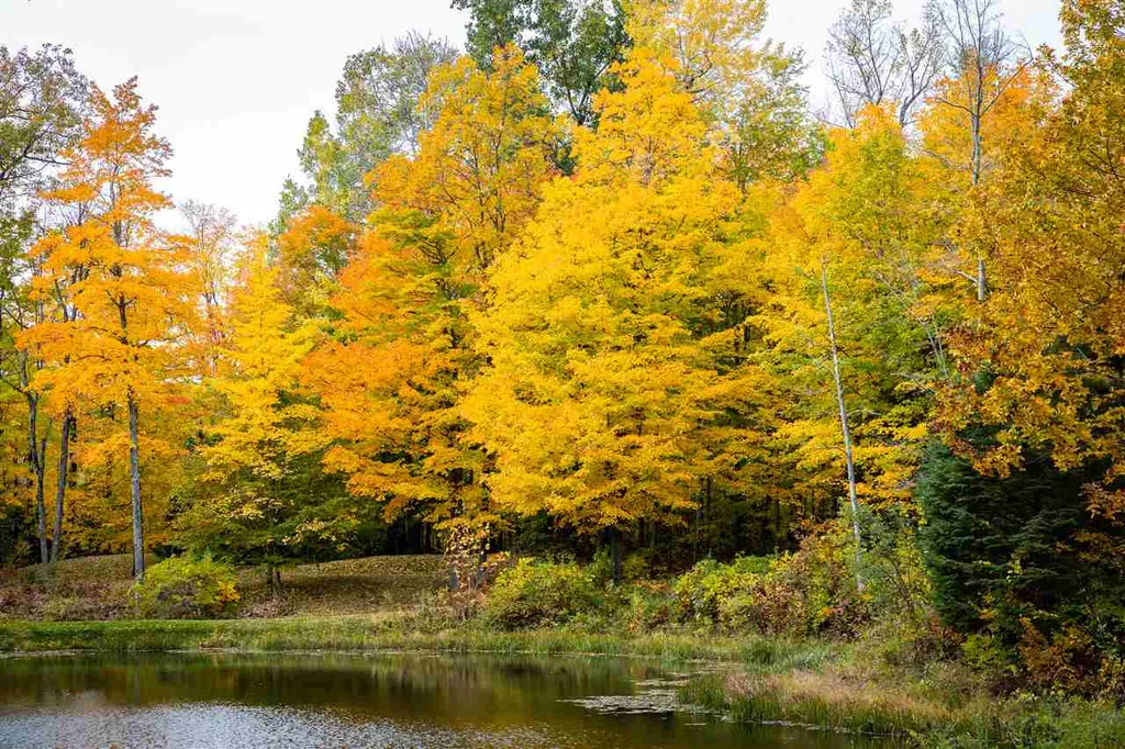 8 Lost Cove Colchester VT 05446