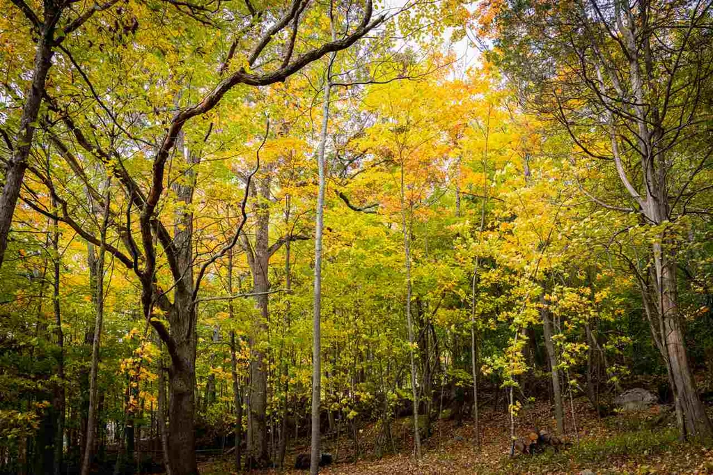 8 Lost Cove Colchester VT 05446