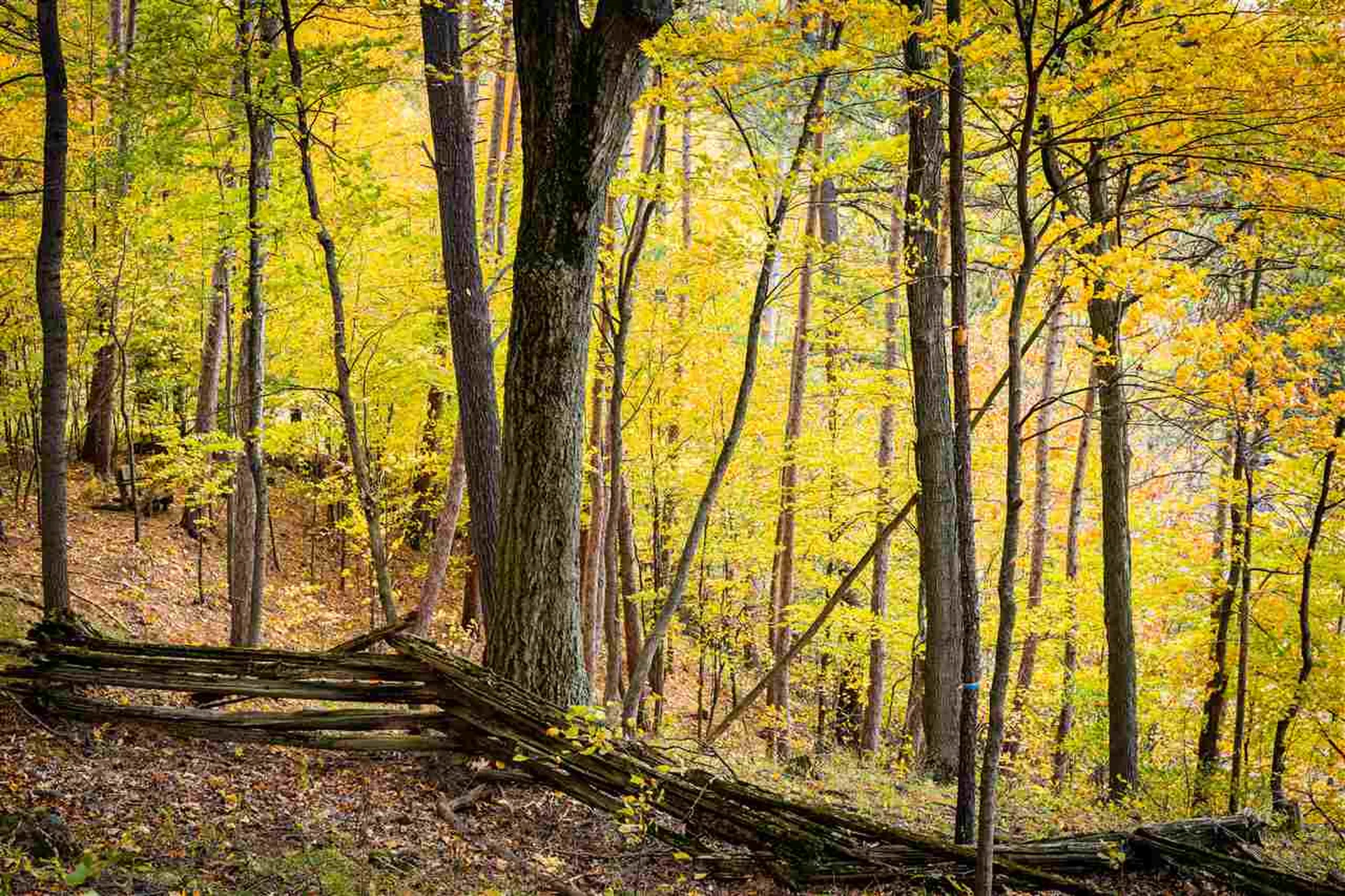 8 Lost Cove Colchester VT 05446