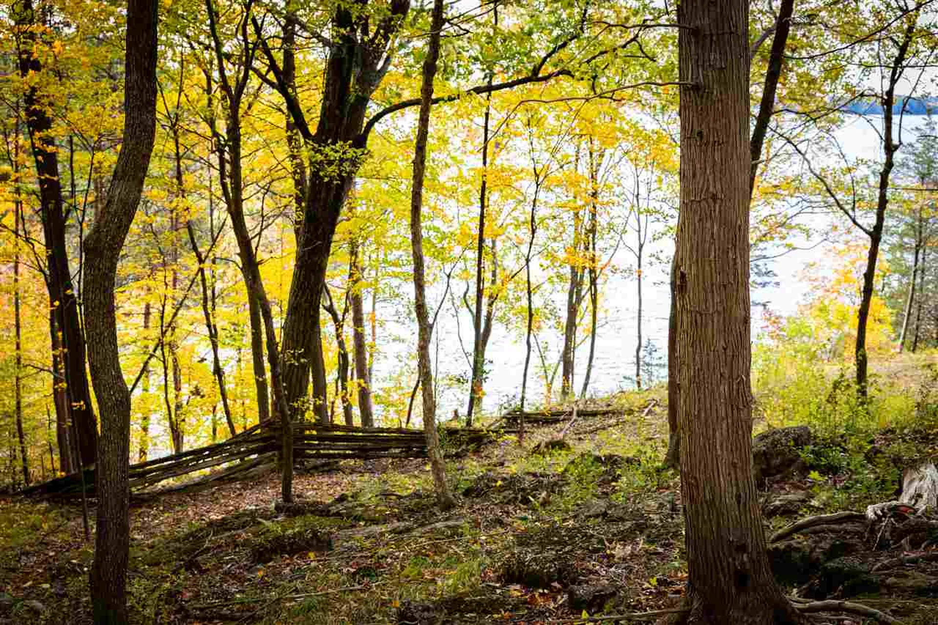 8 Lost Cove Colchester VT 05446