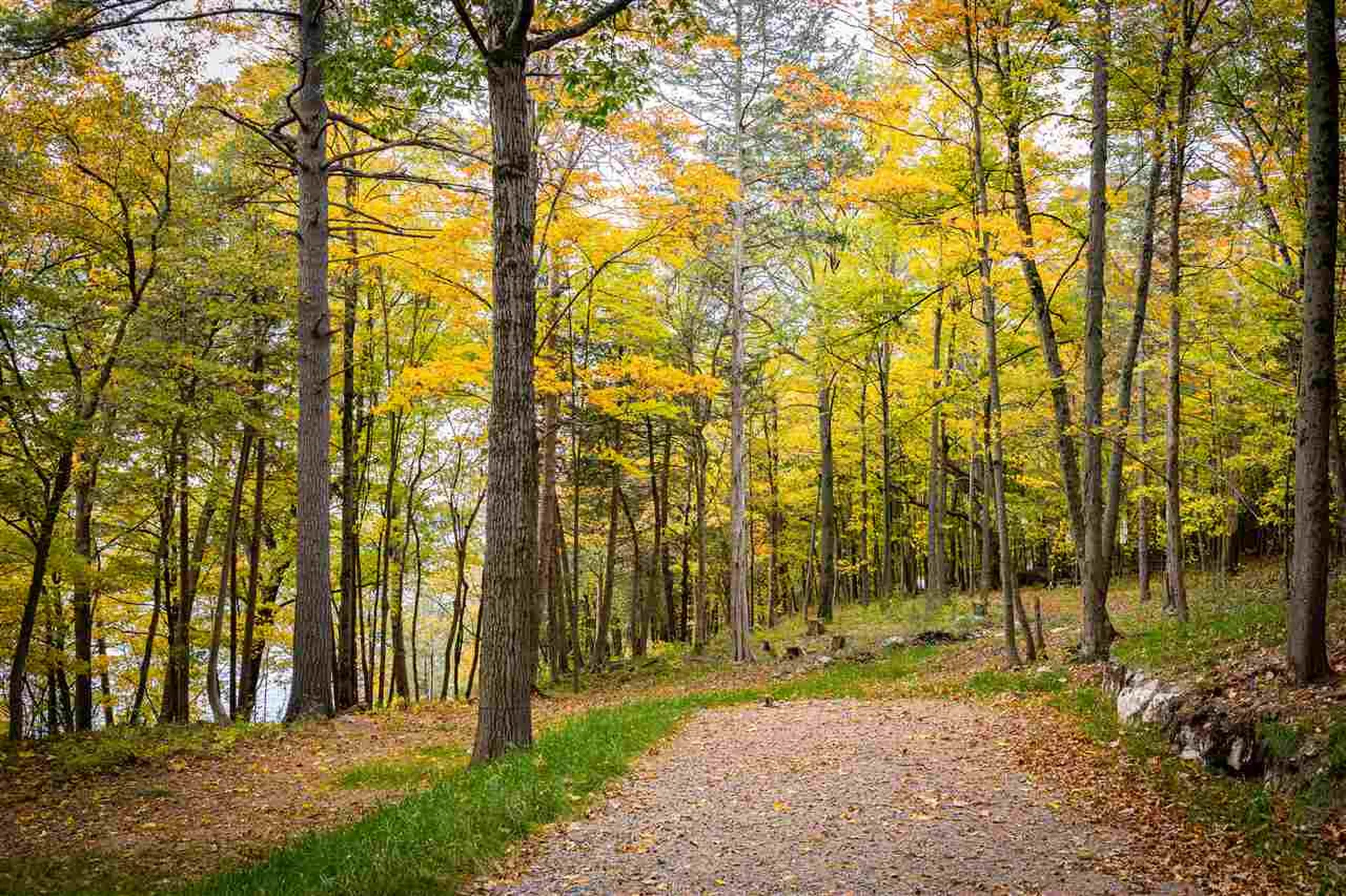 8 Lost Cove Colchester VT 05446