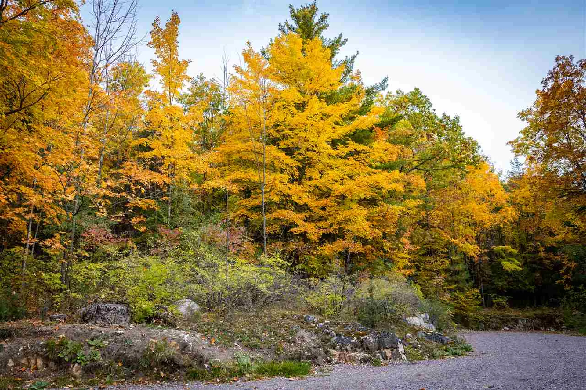 8 Lost Cove Colchester VT 05446