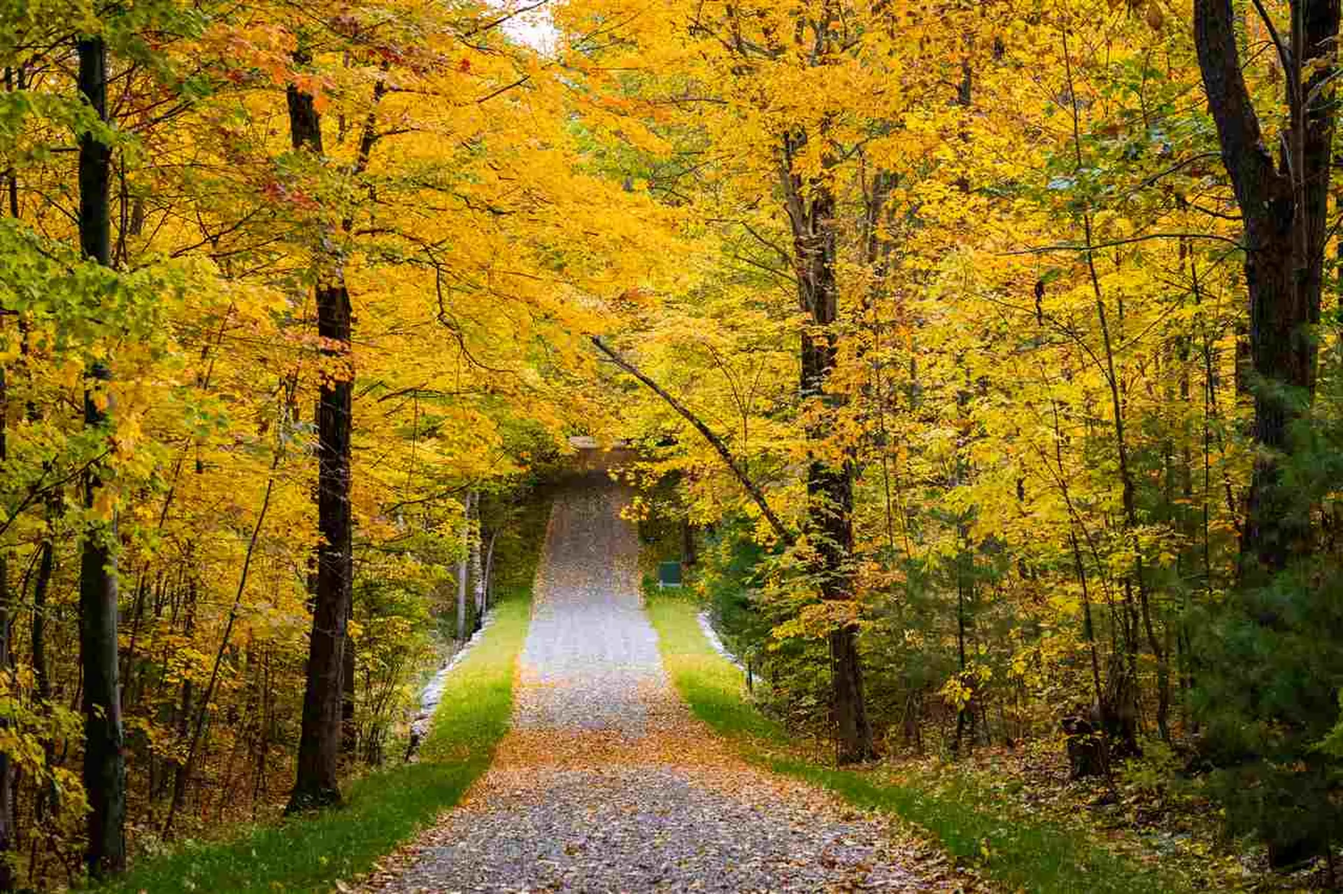 8 Lost Cove Colchester VT 05446
