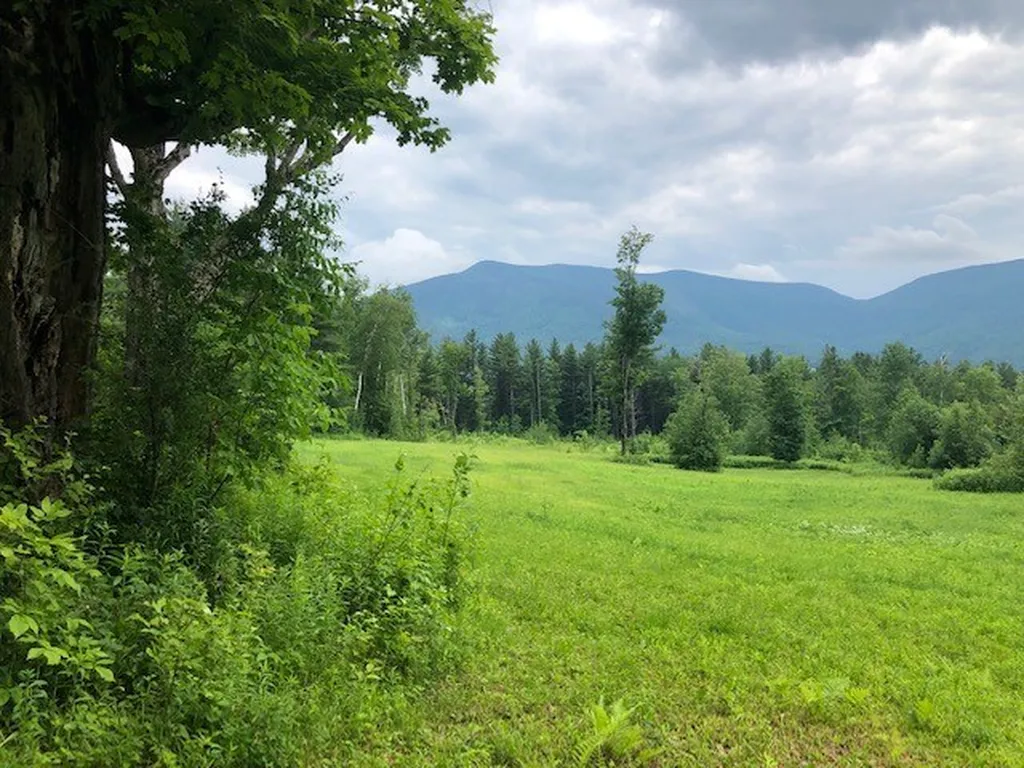 Old Maple Lane Danby VT 05739