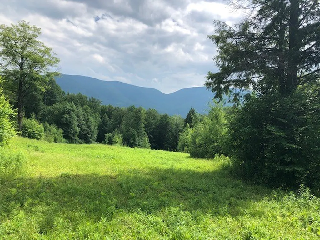 Old Maple Lane Danby VT 05739