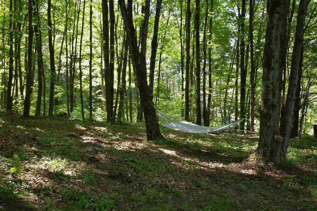 87 Craigy Lane Hinesburg VT 05461