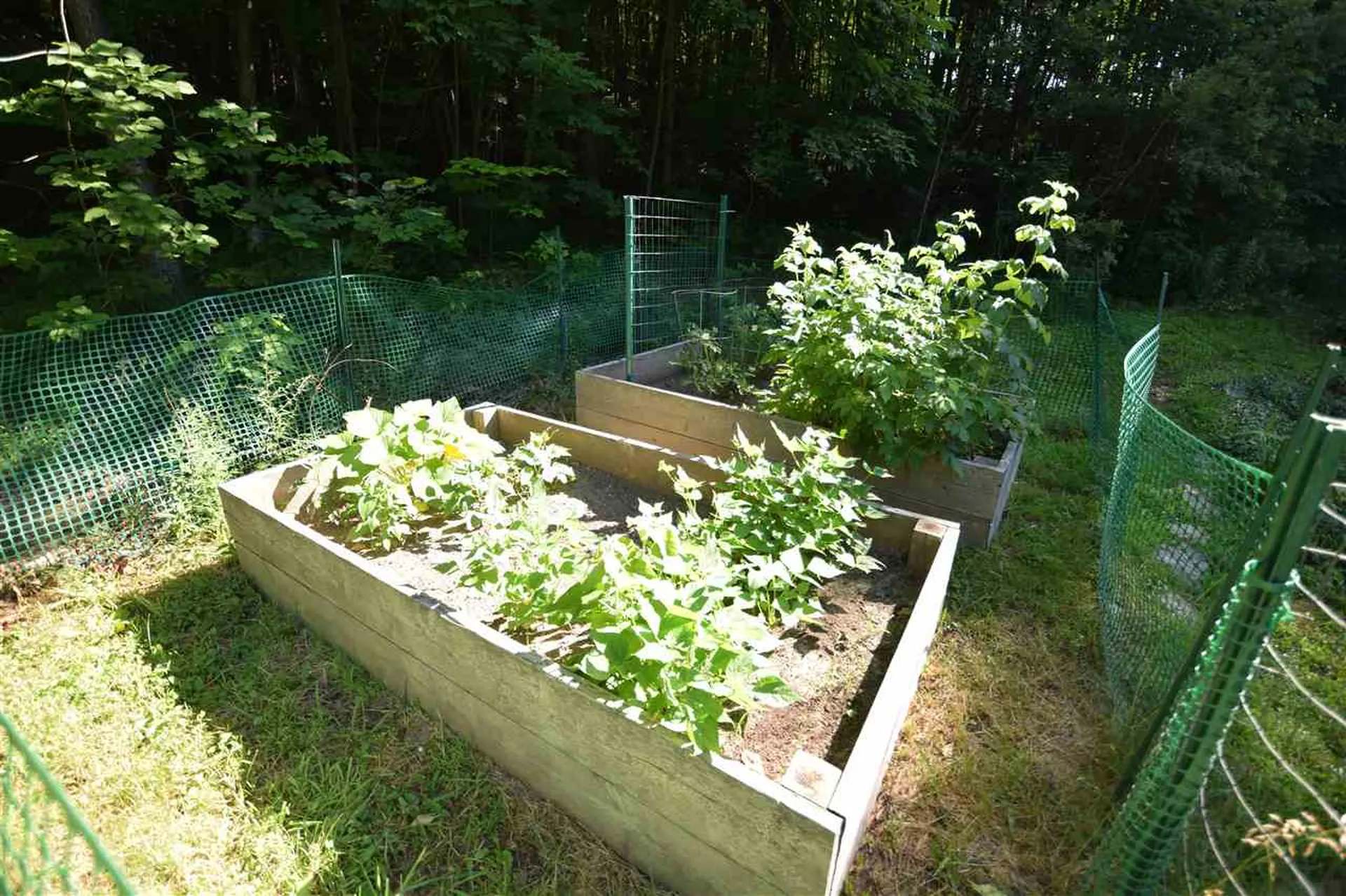 87 Craigy Lane Hinesburg VT 05461