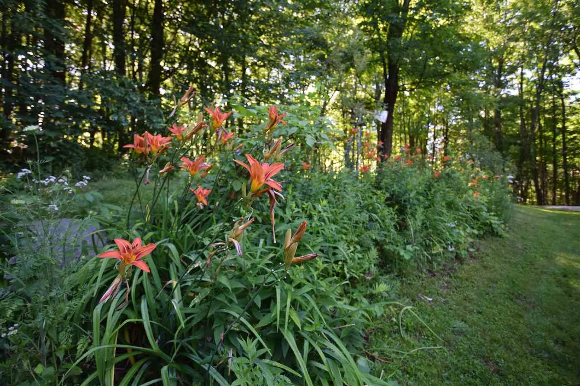 87 Craigy Lane Hinesburg VT 05461