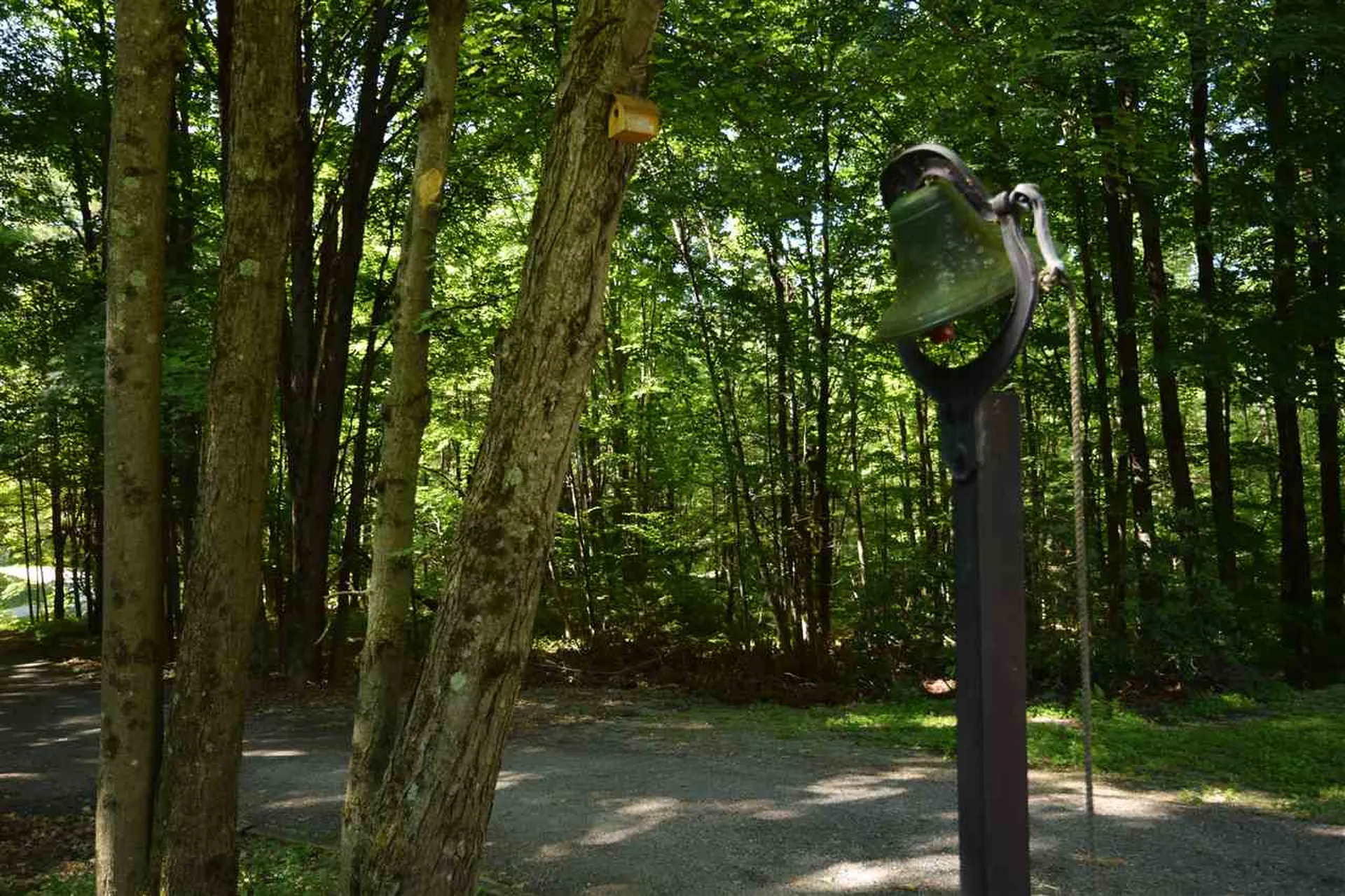 87 Craigy Lane Hinesburg VT 05461
