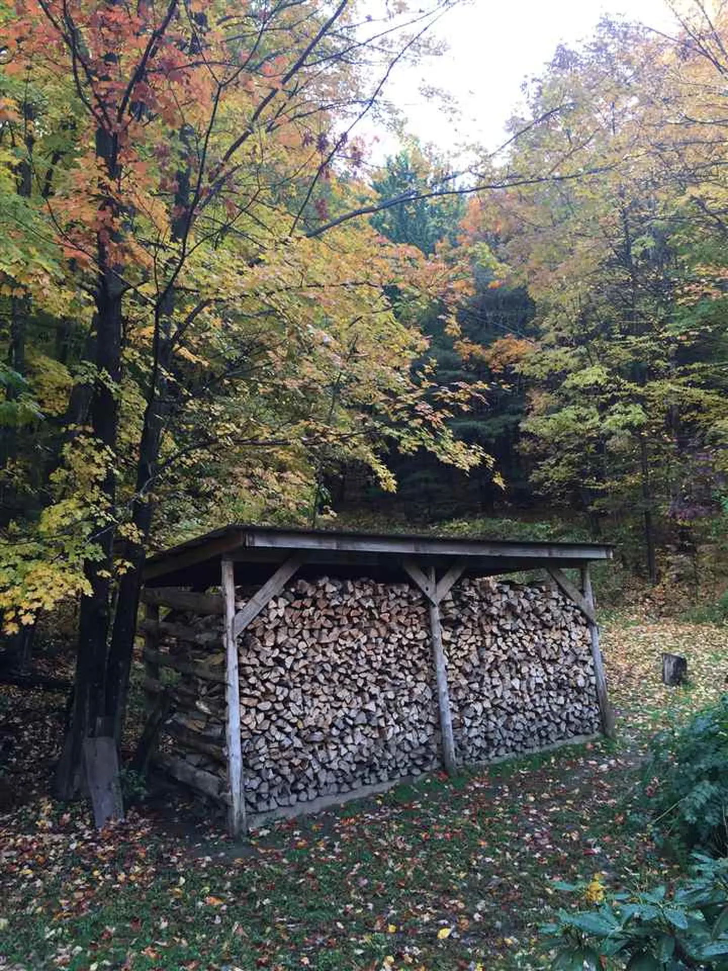 87 Craigy Lane Hinesburg VT 05461