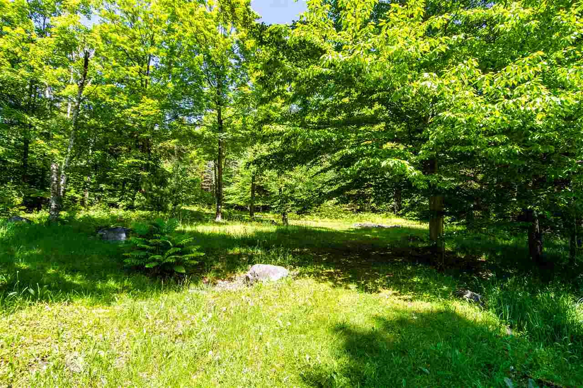 1641 West Hill Road Roxbury VT 05669