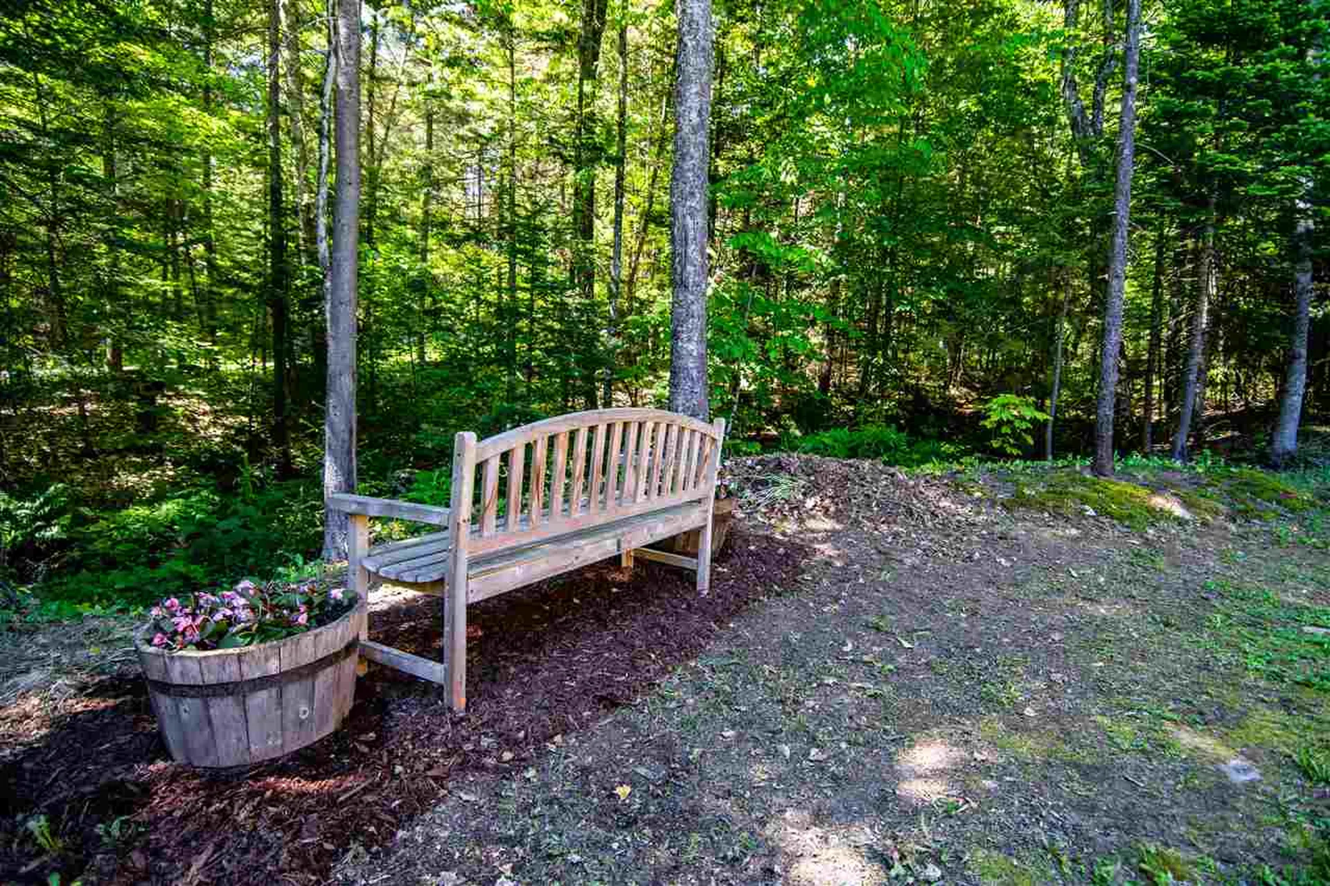 1641 West Hill Road Roxbury VT 05669