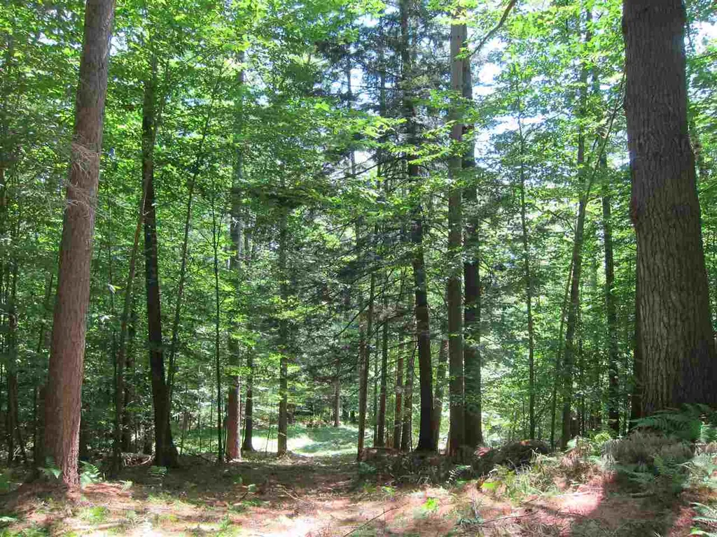 0 Rose Hill Road Woodstock VT 05091